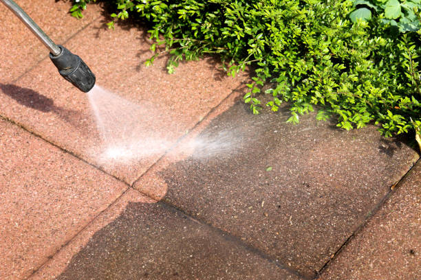 Best Residential Pressure Washing in USA